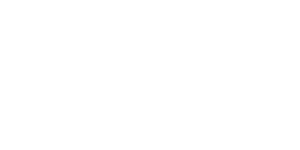 logo accueil transflock