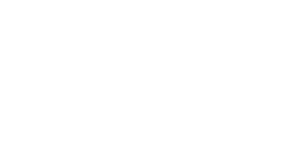 logo viso