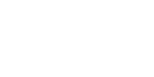 logo accueil PSDibis